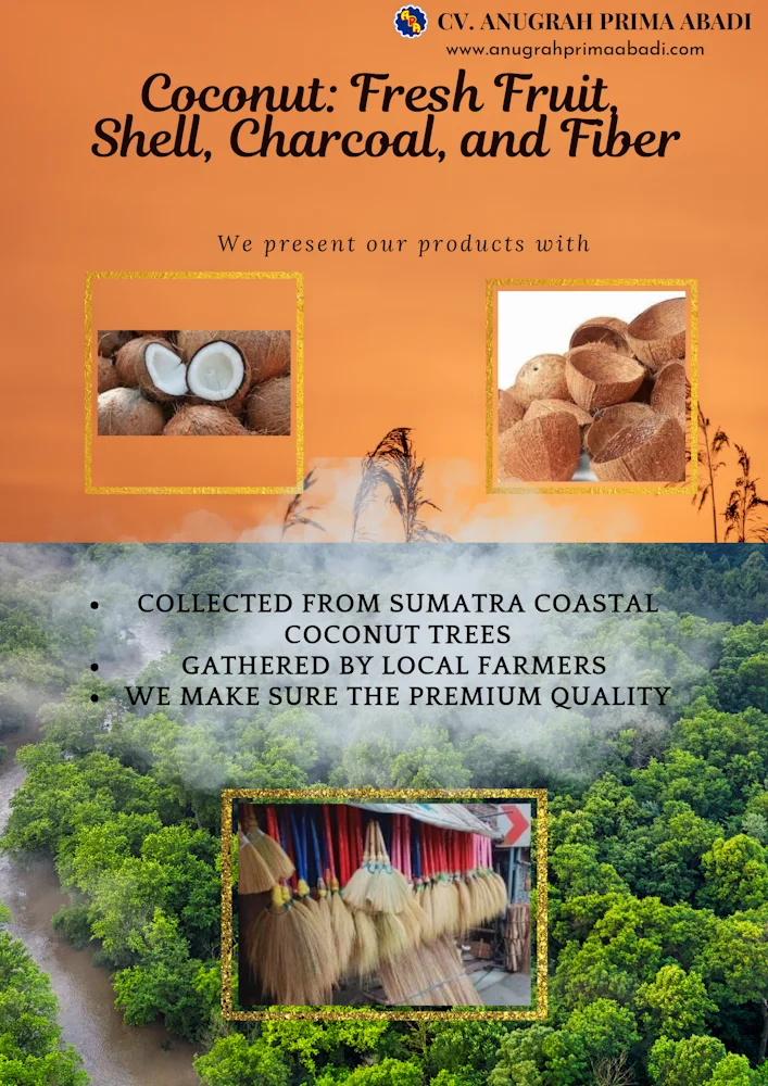 CV Anugrah Prima Abadi Premium Indonesian Natural Commodities Coconut Fresh Fruit, Shell, Charcoal, and Fiber