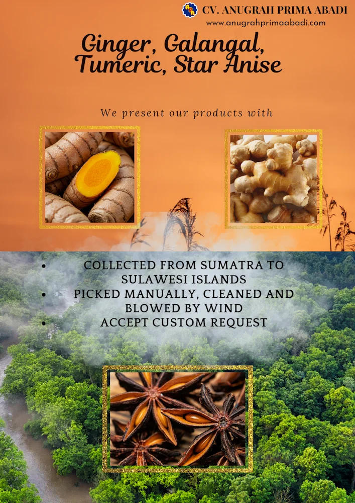 CV Anugrah Prima Abadi Premium Indonesian Natural Commodities Ginger, Galangal, Turmeric, Star Anise