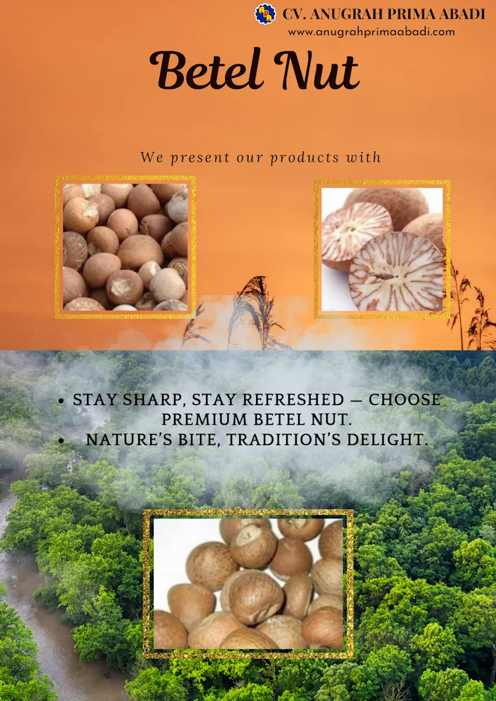 CV Anugrah Prima Abadi Premium Indonesian Natural Commodities Betel nut