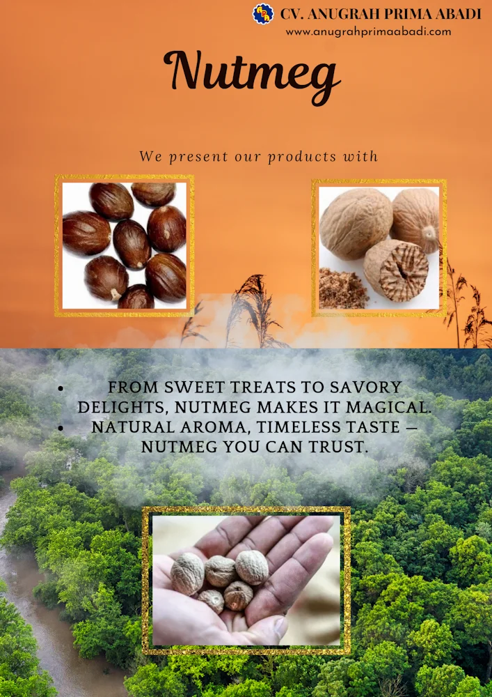 CV Anugrah Prima Abadi Premium Indonesian Natural Commodities Nutmeg