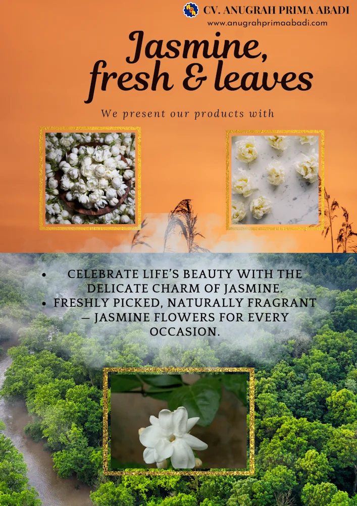 CV Anugrah Prima Abadi Premium Indonesian Natural Commodities Jasmine fresh & leaves