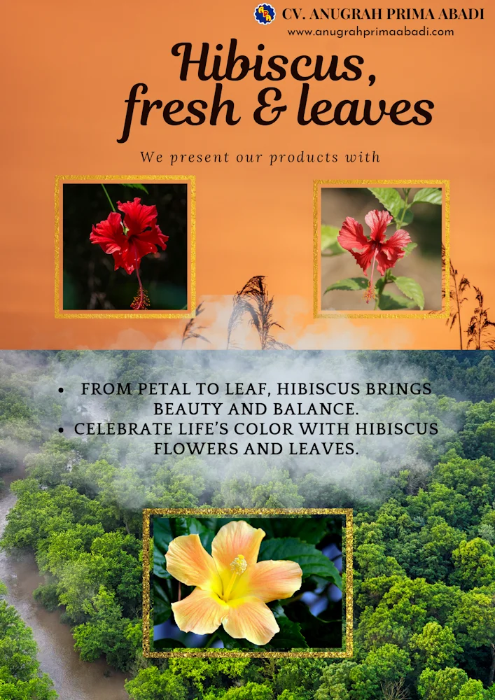 CV Anugrah Prima Abadi Premium Indonesian Natural Commodities Hibiscus fresh & leaves